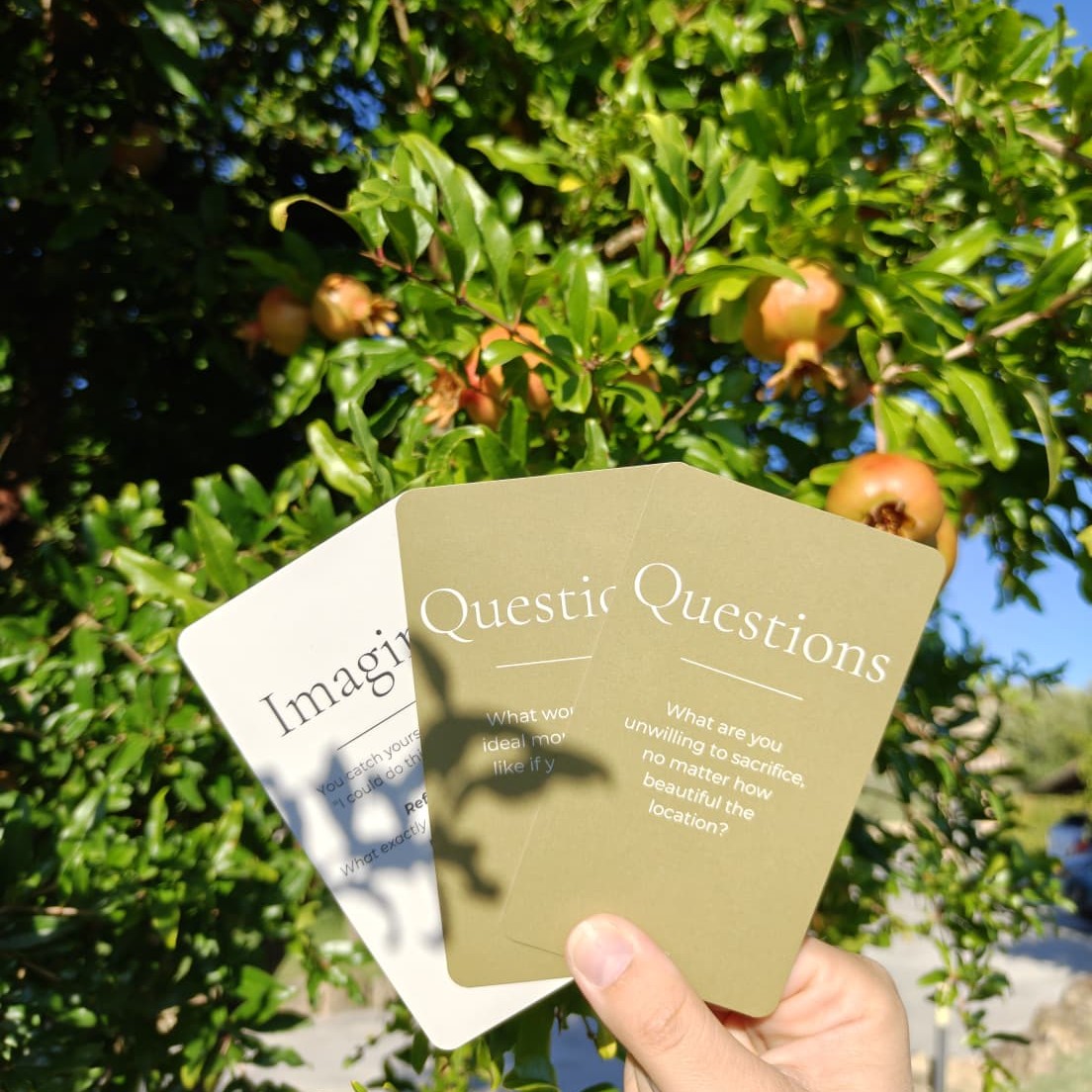 Hand holding Cofunding Questions and Imagine cards in front of a pomegranate tree